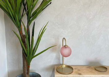 Forcrete feather colour with smooth grain microcement wall